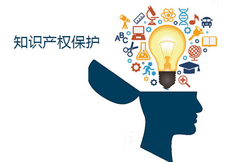 知识产权服务费计入什么科目