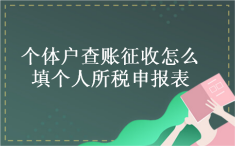个体户查账征收怎么填个人所税申报表