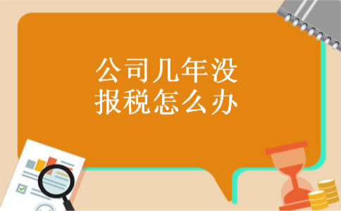 公司几年没报税怎么办