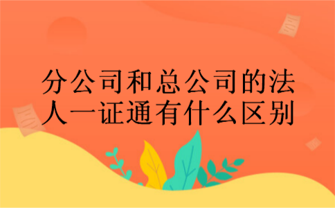 分公司和总公司的法人一证通有什么区别