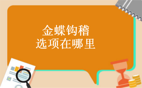 金蝶钩稽选项在哪里