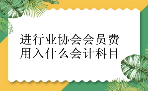 进行业协会会员费用入什么会计科目