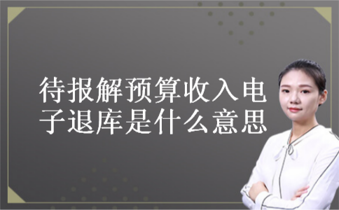 待报解预算收入电子退库是什么意思