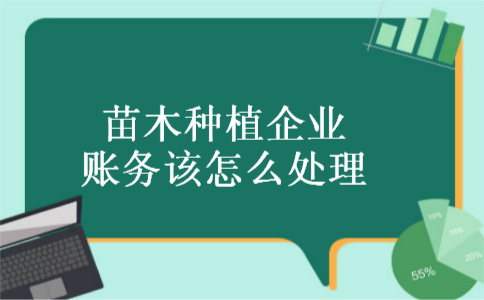 苗木种植企业账务该怎么处理