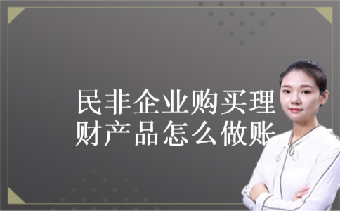 民非企业购买理财产品怎么做账