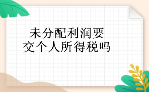 未分配利润要交个人所得税吗