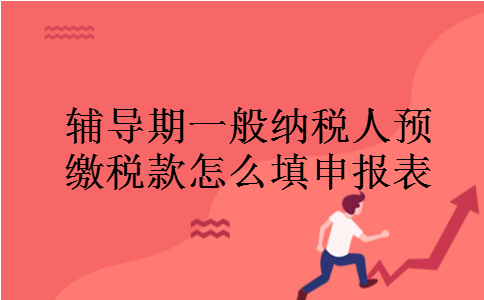 辅导期一般纳税人预缴税款怎么填申报表
