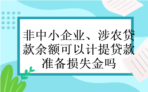 非中小企业、涉农贷款余额可以计提贷款准备损失金吗 非中小企业、涉农贷款余额可以计提贷款准备损失金吗