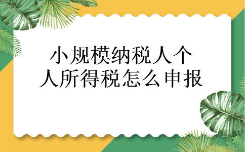 小规模纳税人个人所得税怎么申报