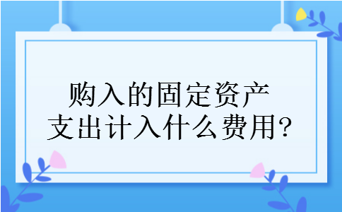 购入的固定资产支出计入什么费用? 购入的固定资产支出计入什么费用?