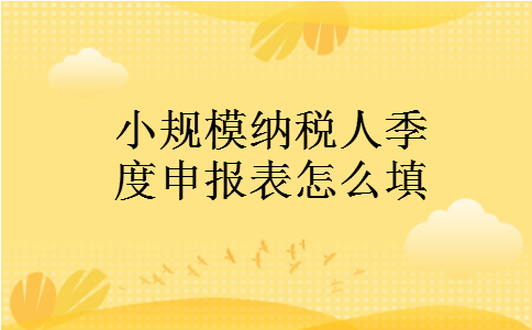 小规模纳税人季度申报表怎么填