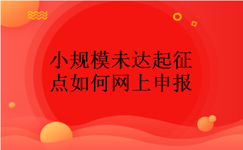 小规模未达起征点如何网上申报