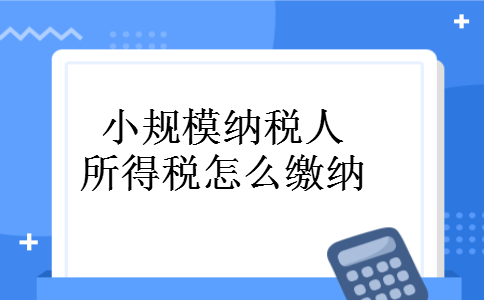 小规模纳税人所得税怎么缴纳