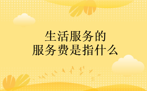 生活服务的服务费是指什么