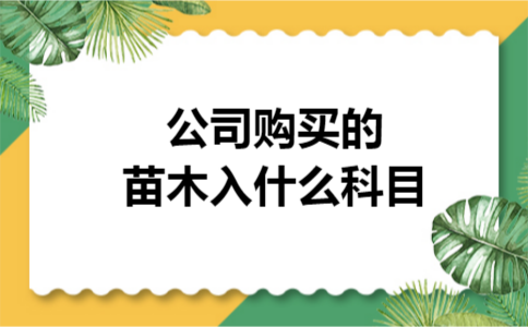  公司购买的苗木入什么科目
