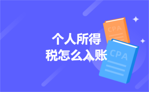 个人所得税怎么入账