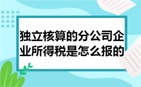 独立核算的分公司企业所得税是怎么报的