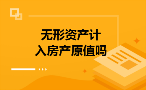 无形资产计入房产原值吗