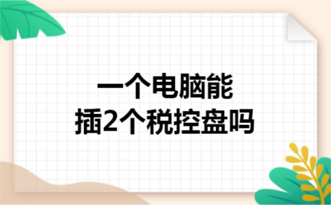 一个电脑能插2个税控盘吗