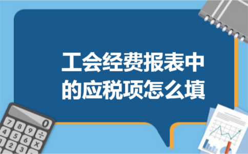 工会经费报表中的应税项怎么填