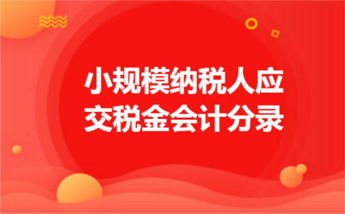 小规模纳税人应交税金会计分录