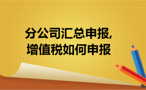 分公司汇总申报,增值税如何申报
