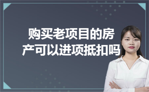 购买老项目的房产可以进项抵扣吗