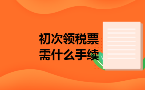初次领税票需什么手续