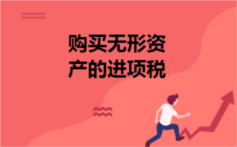 购买无形资产的进项税