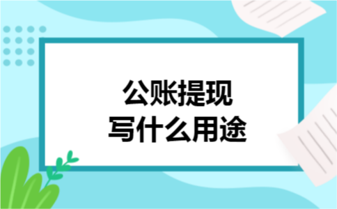 公账提现写什么用途