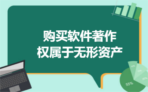 购买软件著作权属于无形资产
