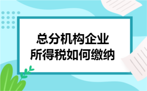 总分机构企业所得税如何缴纳