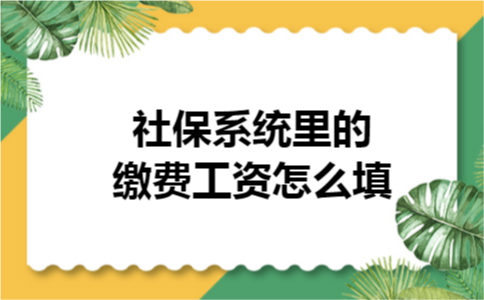社保系统里的缴费工资怎么填 社保系统里的缴费工资怎么填