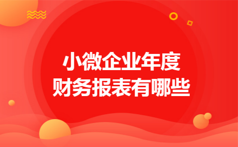 小微企业年度财务报表有哪些