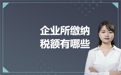 企业所缴纳税额有哪些