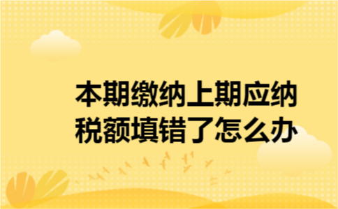 本期缴纳上期应纳税额填错了怎么办
