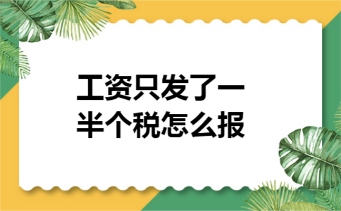工资只发了一半个税怎么报 工资只发了一半个税怎么报