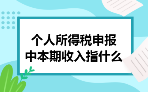 个人所得税申报中本期收入指什么