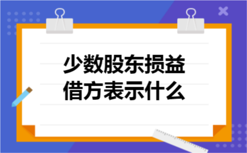 少数股东损益借方表示什么