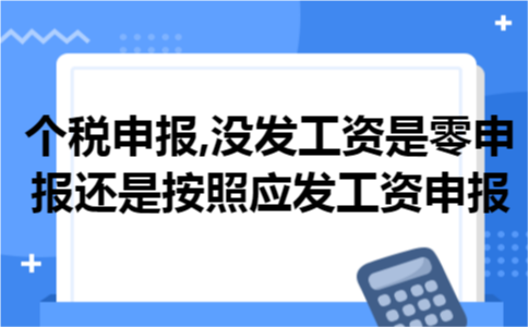 个税申报,没发工资是零申报还是按照应发工资申报