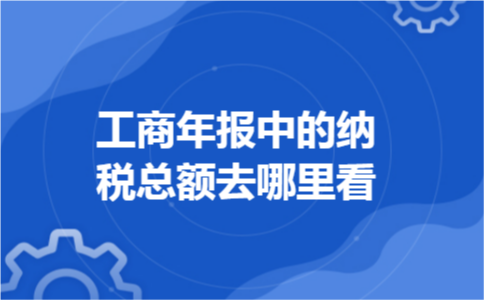 工商年报中的纳税总额去哪里看