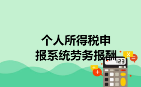 个人所得税申报系统劳务报酬 个人所得税申报系统劳务报酬