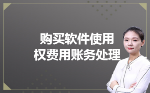 购买软件使用权费用账务处理