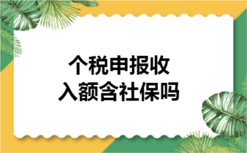 个税申报收入额含社保吗 个税申报收入额含社保吗