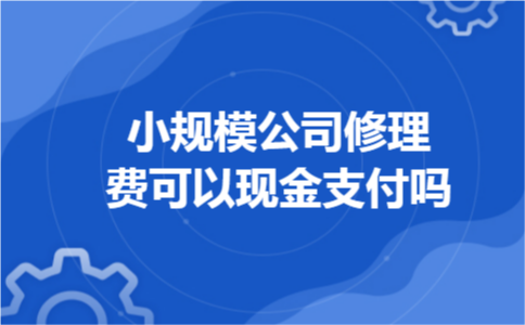 小规模公司修理费可以现金支付吗