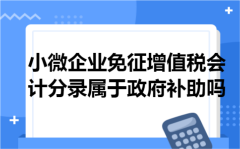 小微企业免征增值税会计分录属于政府补助吗