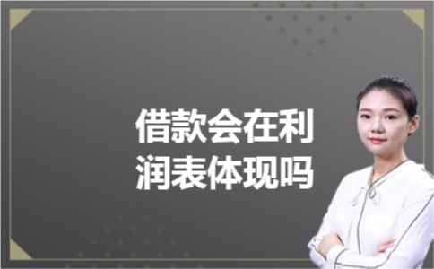 借款会在利润表体现吗