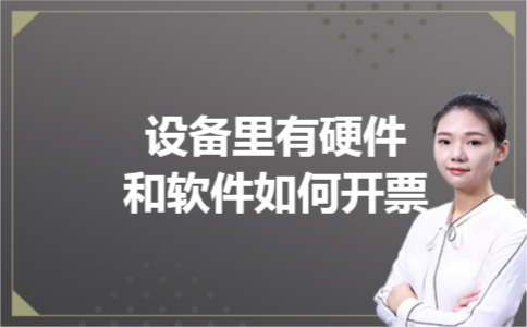 设备里有硬件和软件如何开票