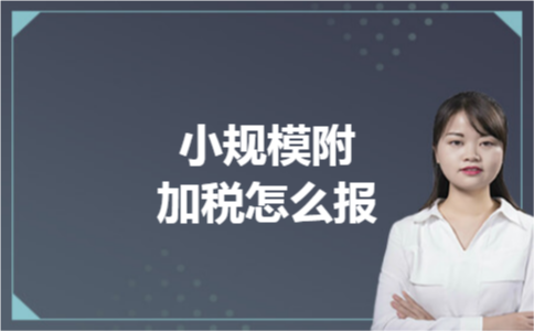 小规模附加税怎么报