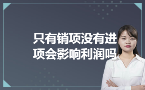 只有销项没有进项会影响利润吗